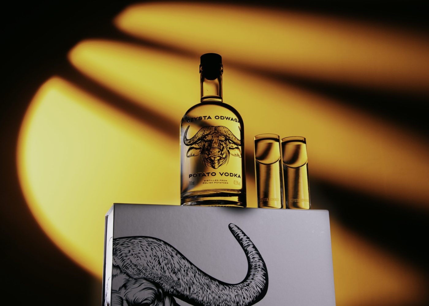 Home e85a8983 edit kopia